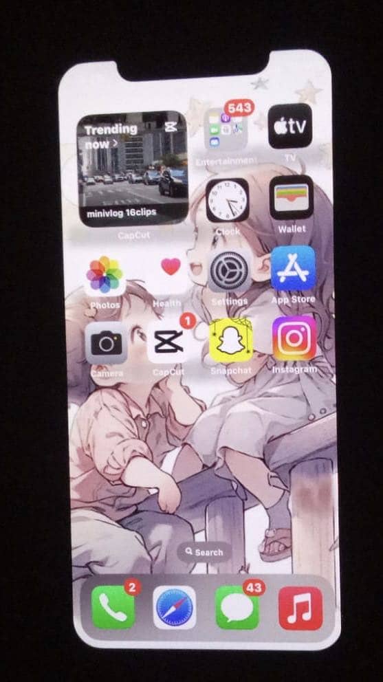 Apple iPhone X 1