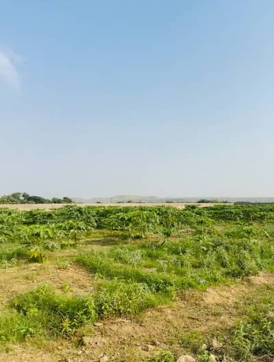 Beautiful Available For Sale Prime Future Location