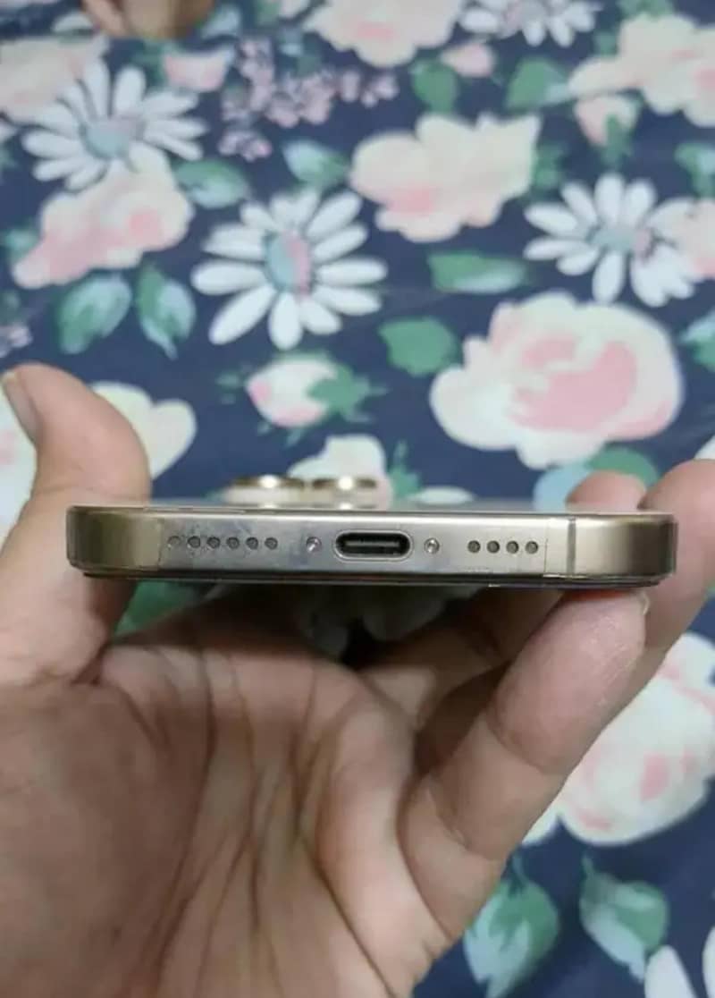 Apple iPhone 16 Pro Max 1