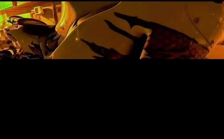 SUZUKI HAYABUSA GEN-1 PYTHON ORIGINAL 1