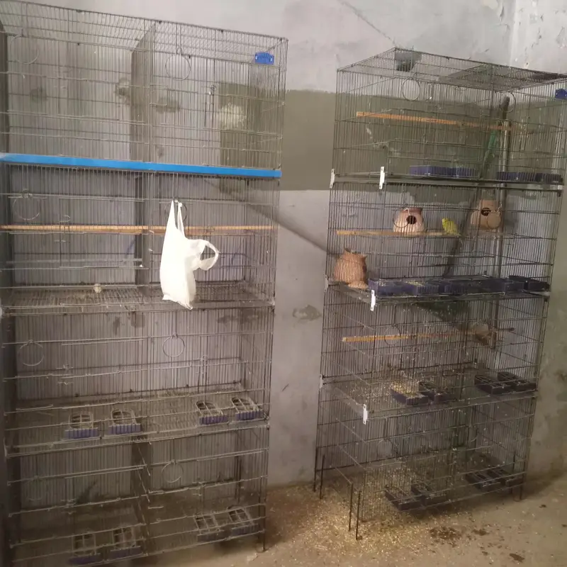 Four Portion Iron Cage For Sale - 2 Cages Available - No Rust — photo 2