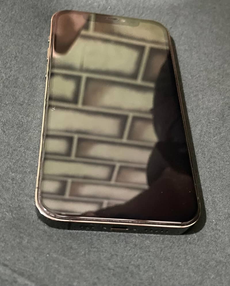 Apple iPhone 12 Pro 1