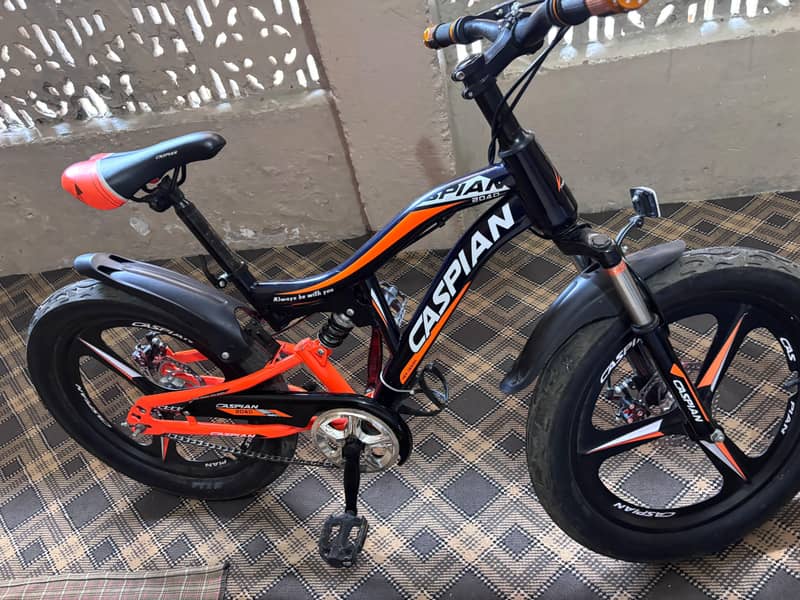 Cycle 0