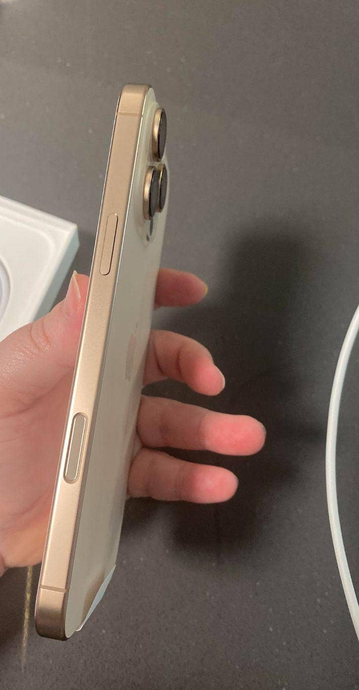 Apple iPhone 16 Pro Max 1