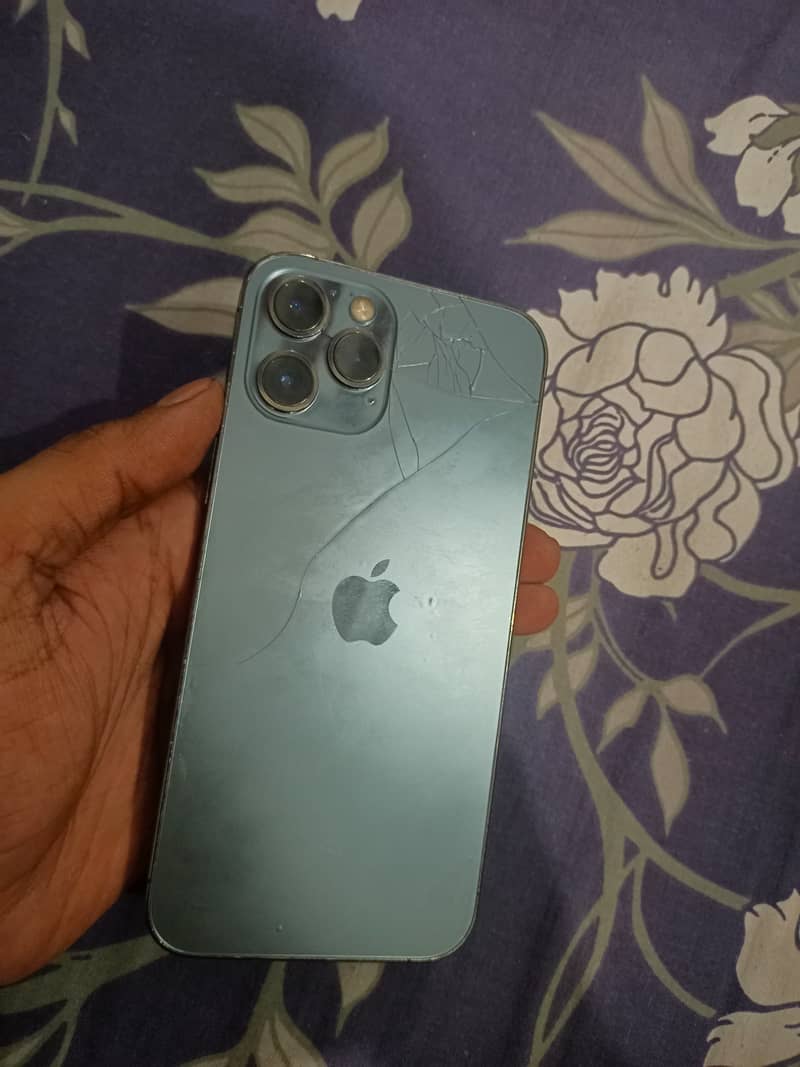 Apple iPhone 12 Pro Max 1