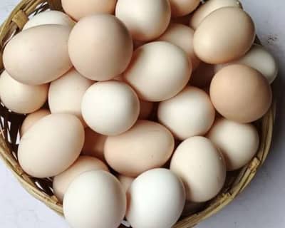 dasi misri ghar ki murgiyo k eggs