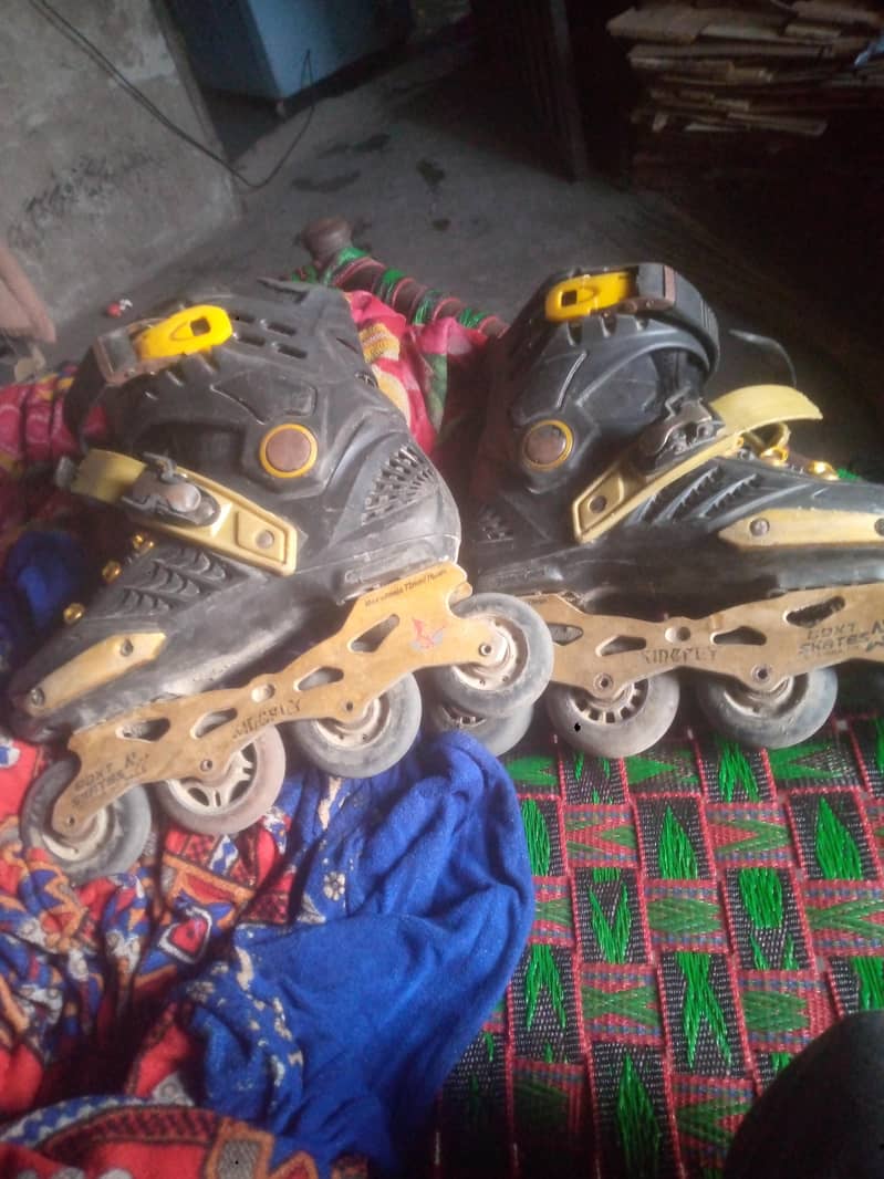 skate 2
