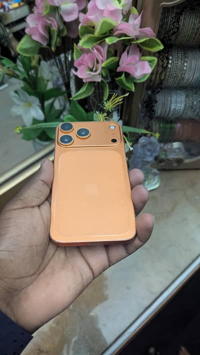 XR Converted to 17 pro