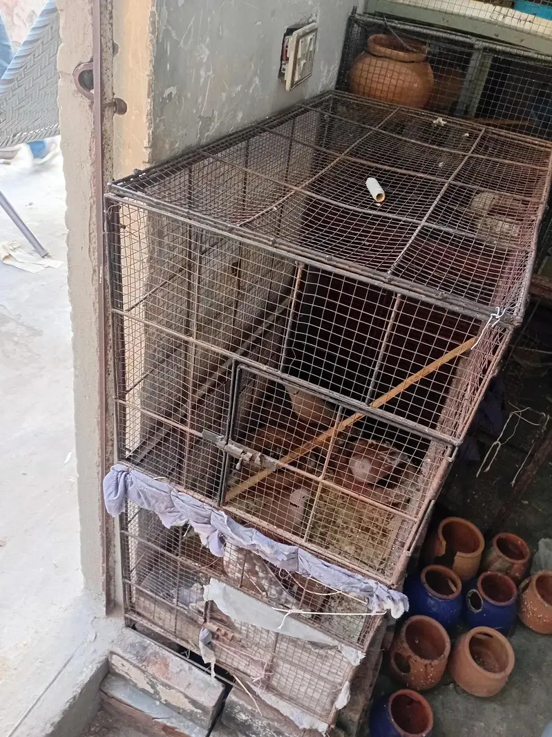metal cage for sale urgently — photo 2