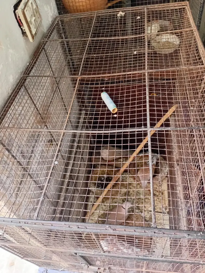 metal cage for sale urgently — photo 3