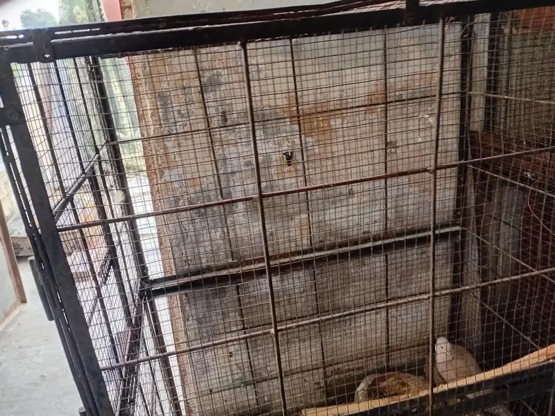 metal cage for sale urgently — photo 5