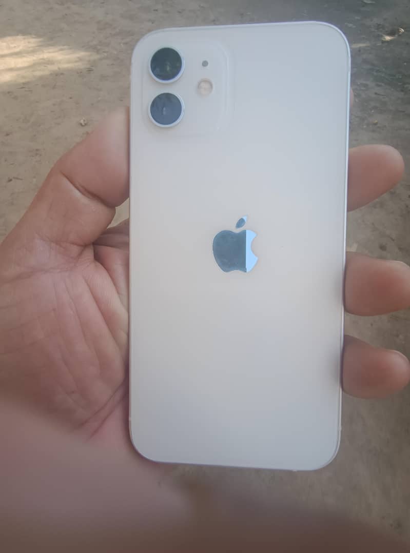 Apple iPhone 12 1