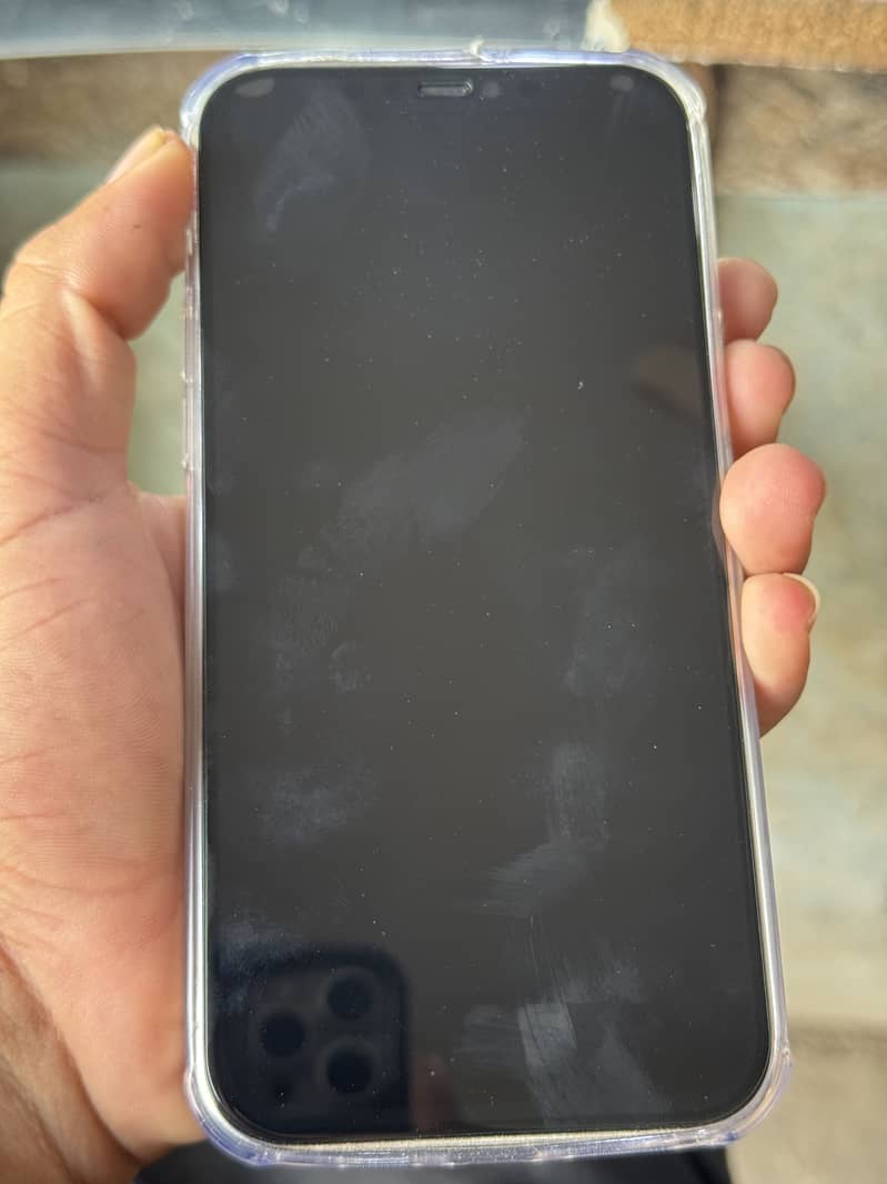 Apple iPhone 12 Pro Max 1