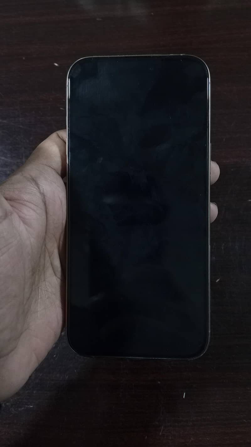 Apple iPhone 16 Pro Max 1
