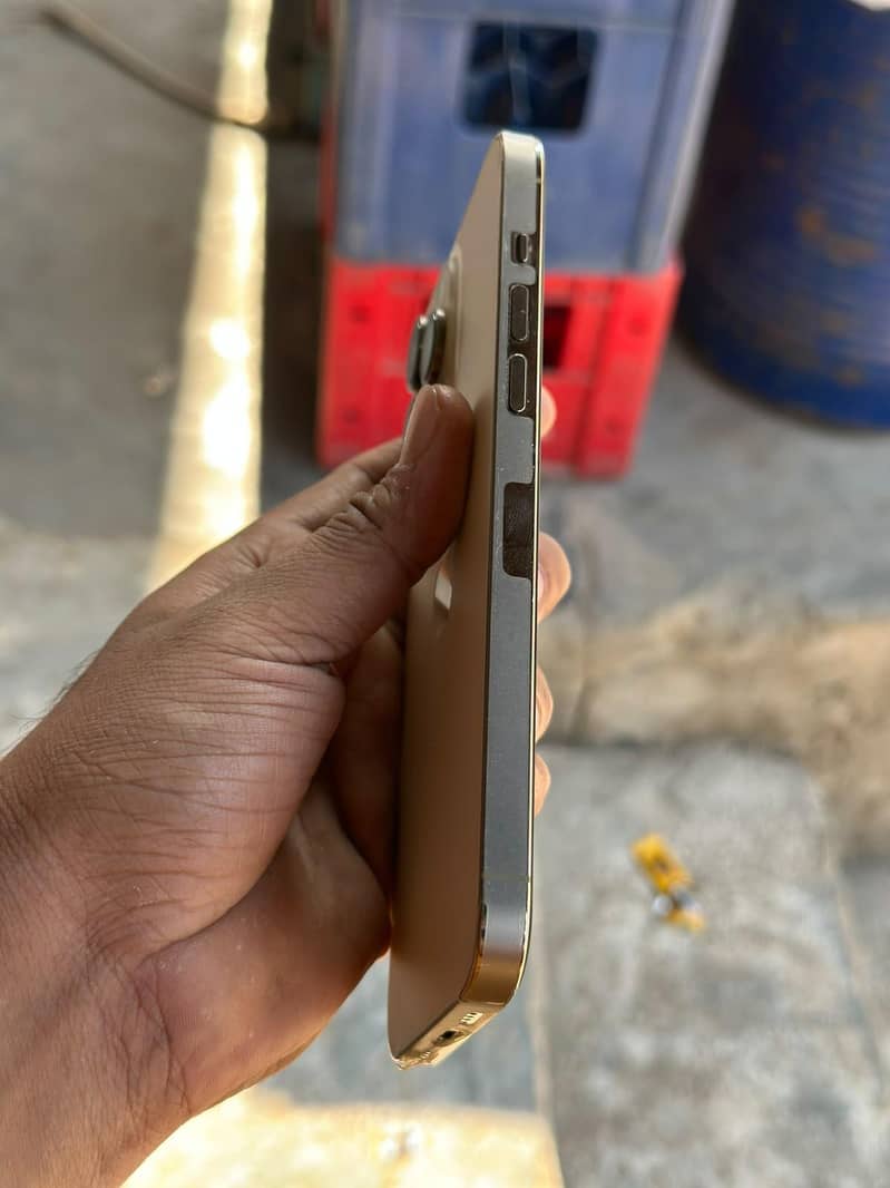 Apple iPhone 14 Pro Max 1