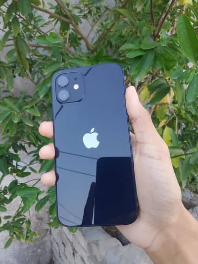 Apple iPhone 12