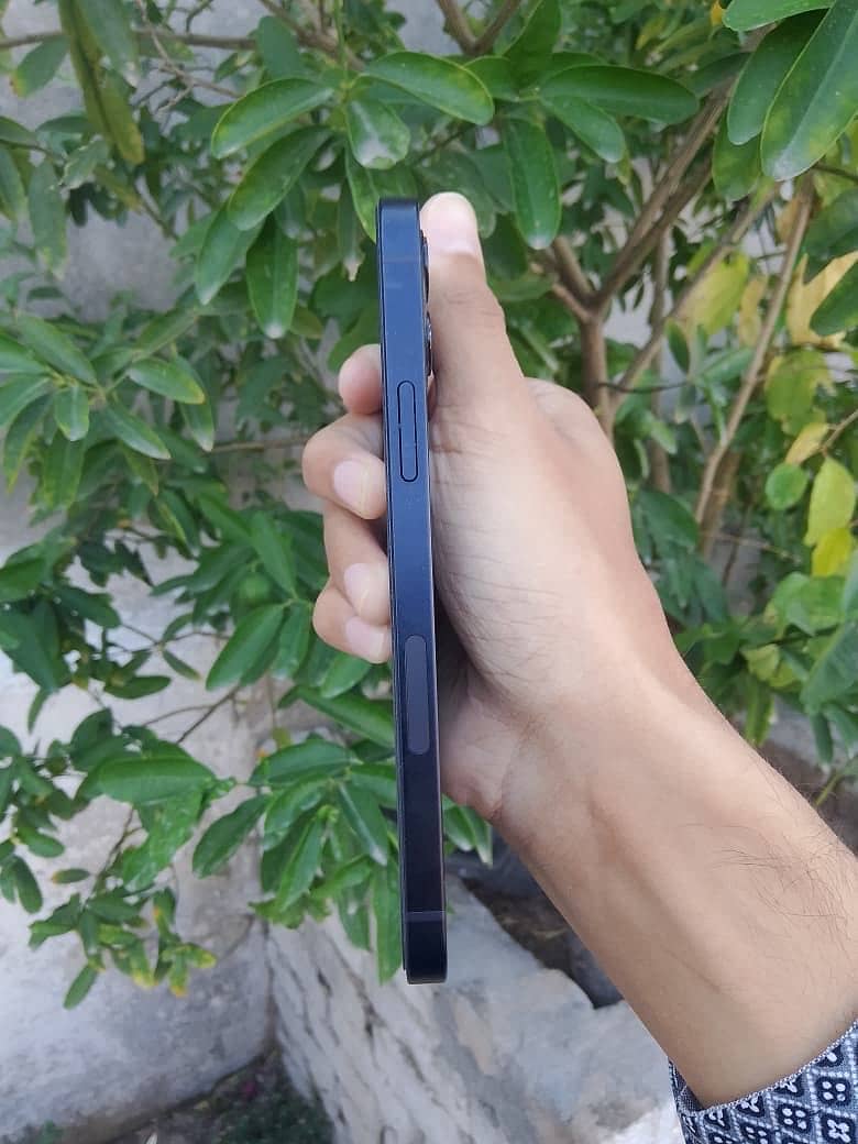 Apple iPhone 12 1