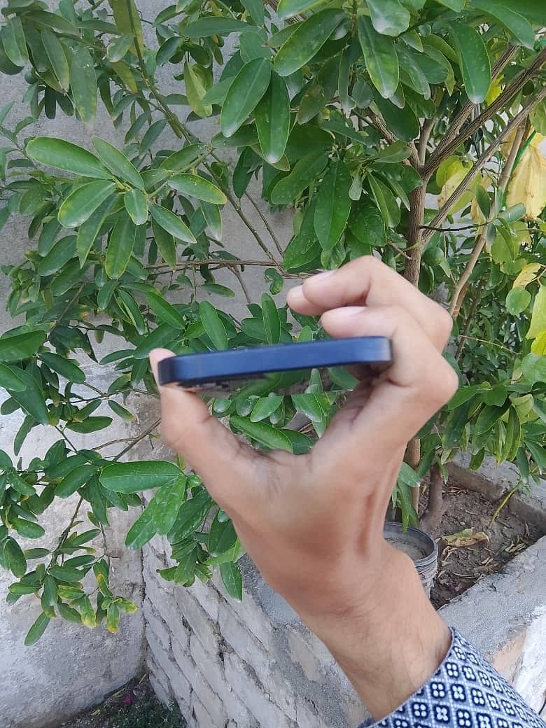 Apple iPhone 12 5