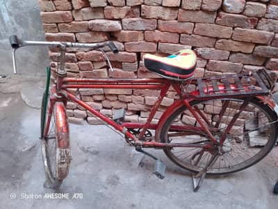 sohrab bicycle