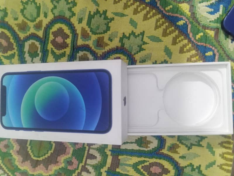 Apple iPhone 12 mini 1