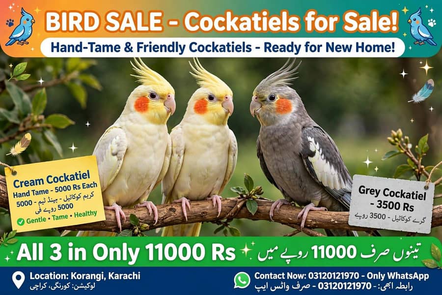 All Parrot 0