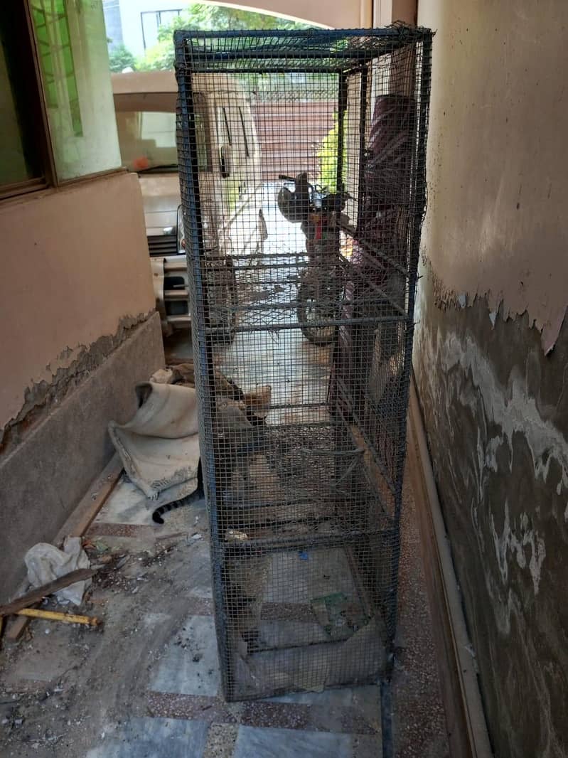 Hen Cage 3