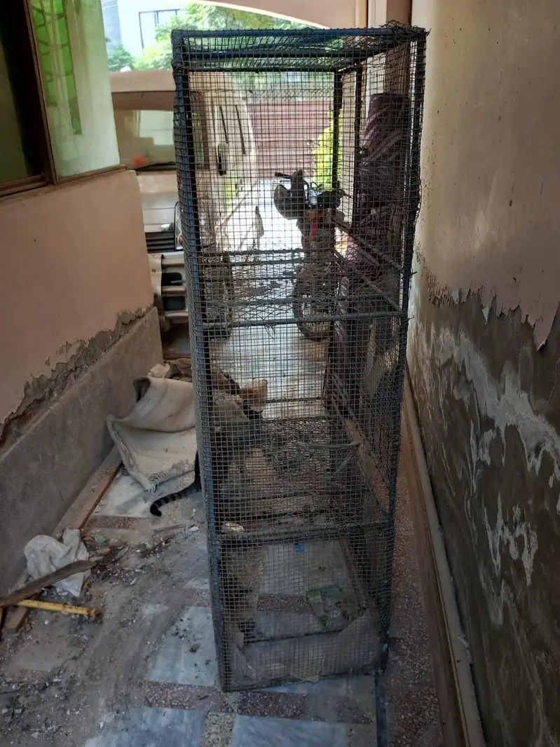 Hen Cage — photo 4