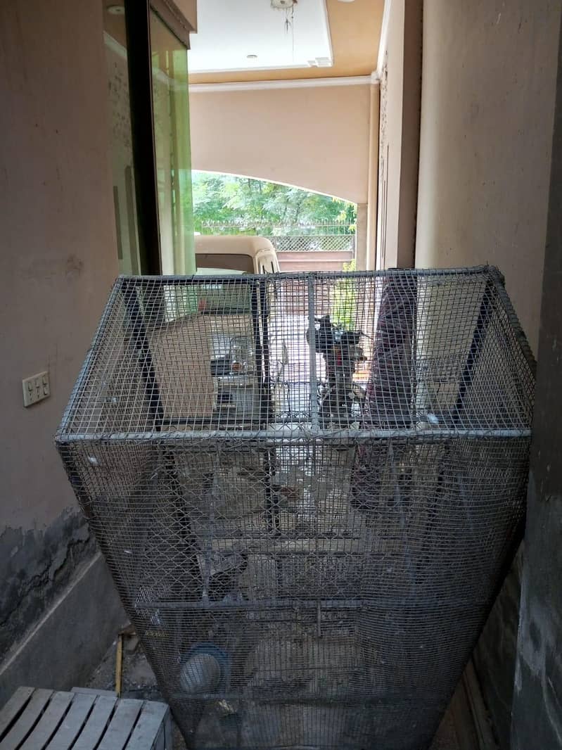 Hen Cage 4