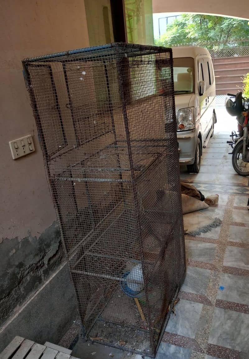 Hen Cage 5