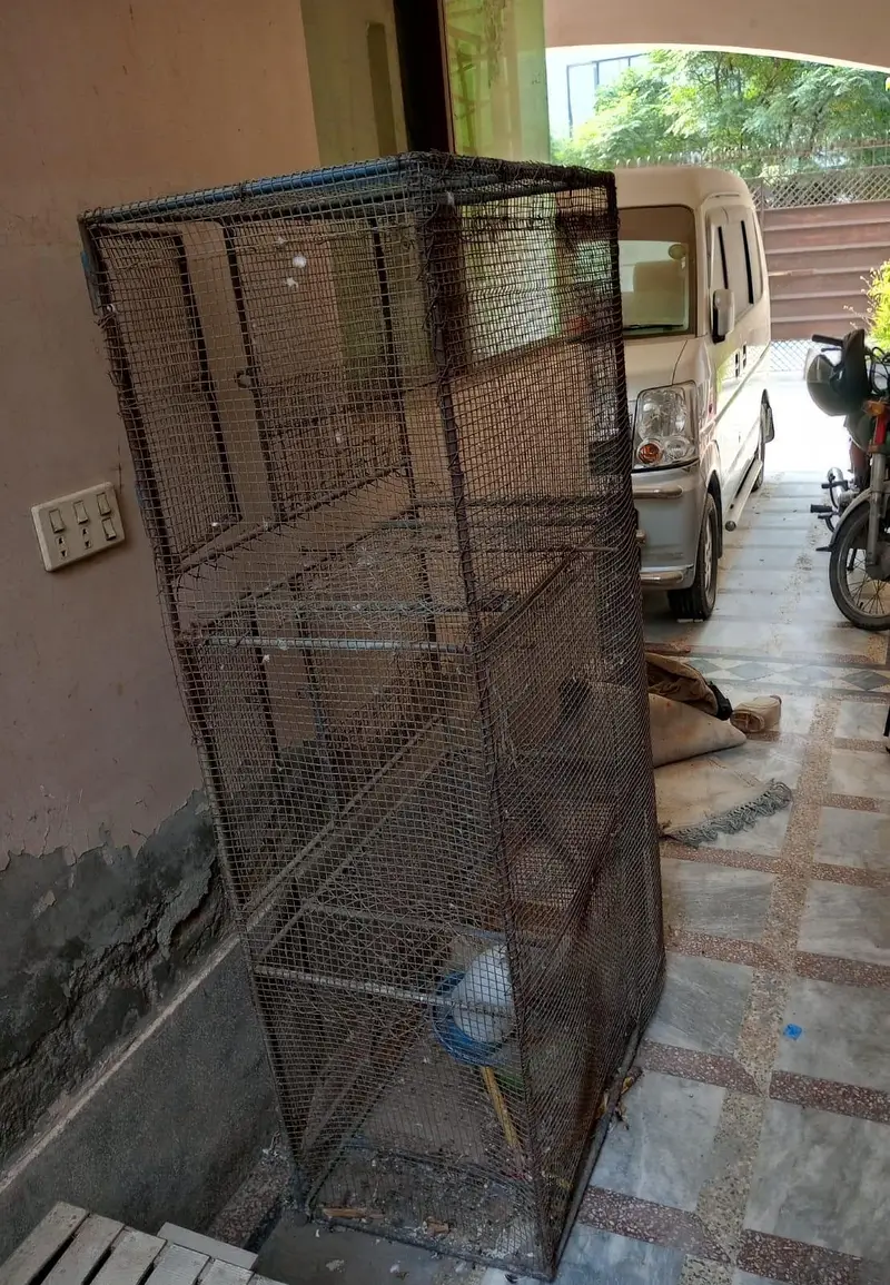 Hen Cage — photo 6