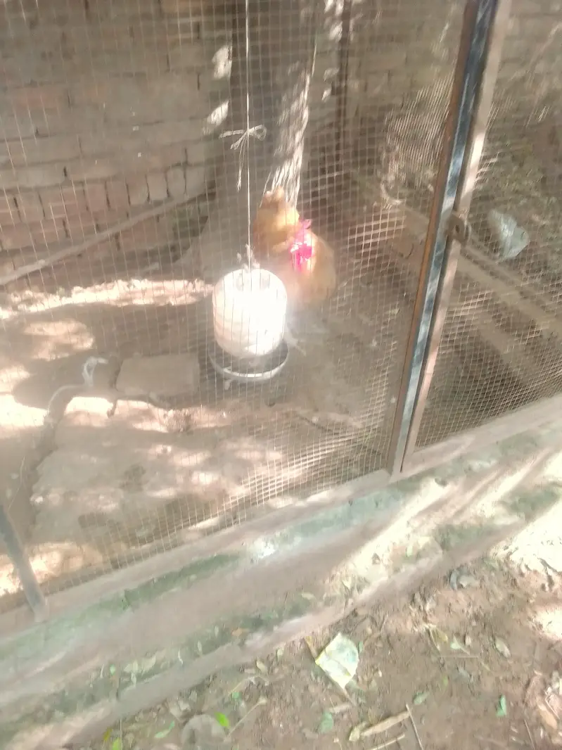 junaid — photo 5