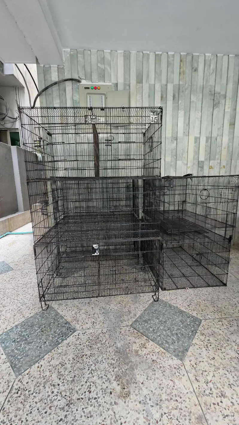 5 cages tower size 3×2 freshly painted and 1 famcy big cage — photo 2