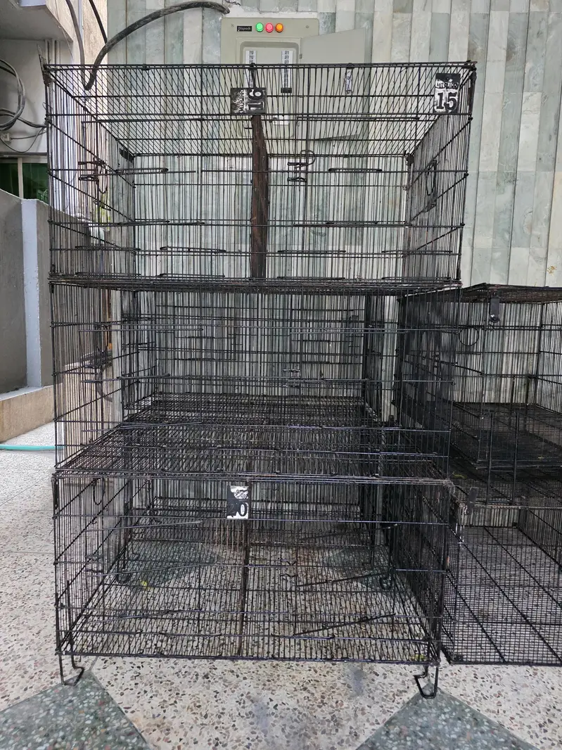 5 cages tower size 3×2 freshly painted and 1 famcy big cage — photo 4