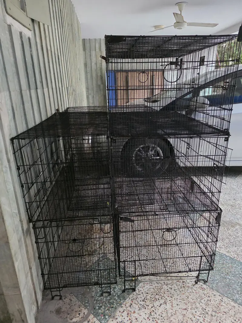 5 cages tower size 3×2 freshly painted and 1 famcy big cage — photo 5