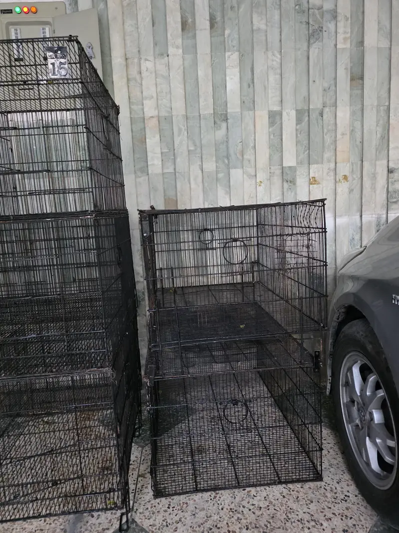 5 cages tower size 3×2 freshly painted and 1 famcy big cage — photo 6