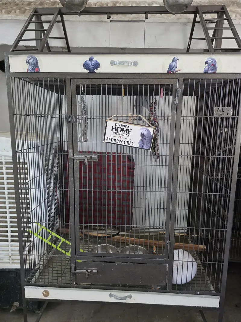 5 cages tower size 3×2 freshly painted and 1 famcy big cage — photo 7