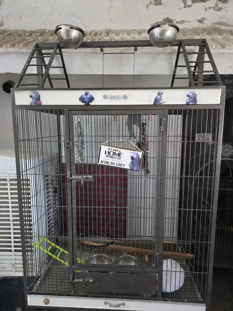 5 cages tower size 3×2 freshly painted and 1 famcy big cage — photo 9