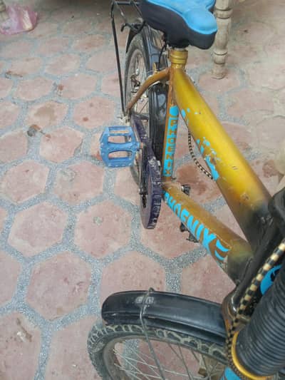arjant sail Karni bhout achi cycle hai