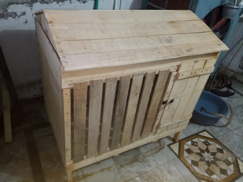Cage size  (3.5 feet × 4.5 feet) 03084222243////03225360298 — photo 3