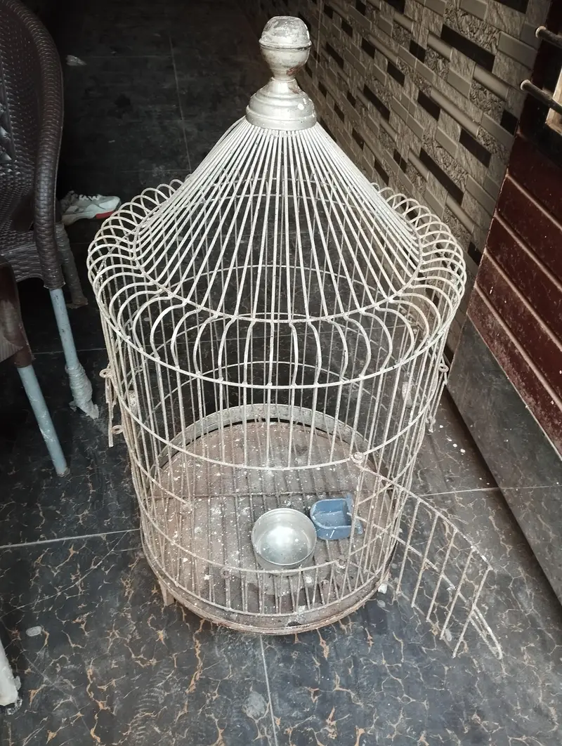 Heavy weight Cage/Pinjra Urgent sale — photo 2