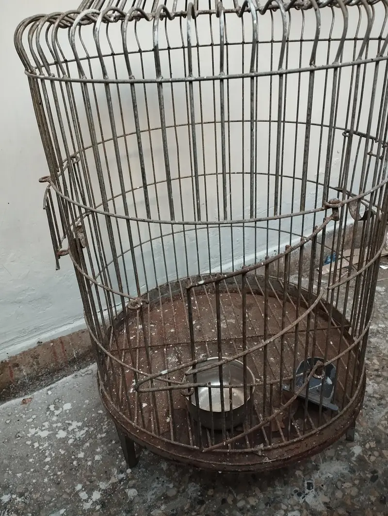 Heavy weight Cage/Pinjra Urgent sale — photo 3