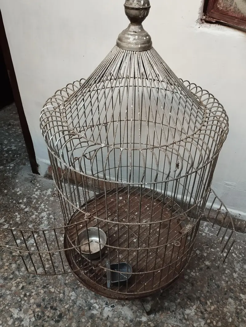 Heavy weight Cage/Pinjra Urgent sale — photo 5
