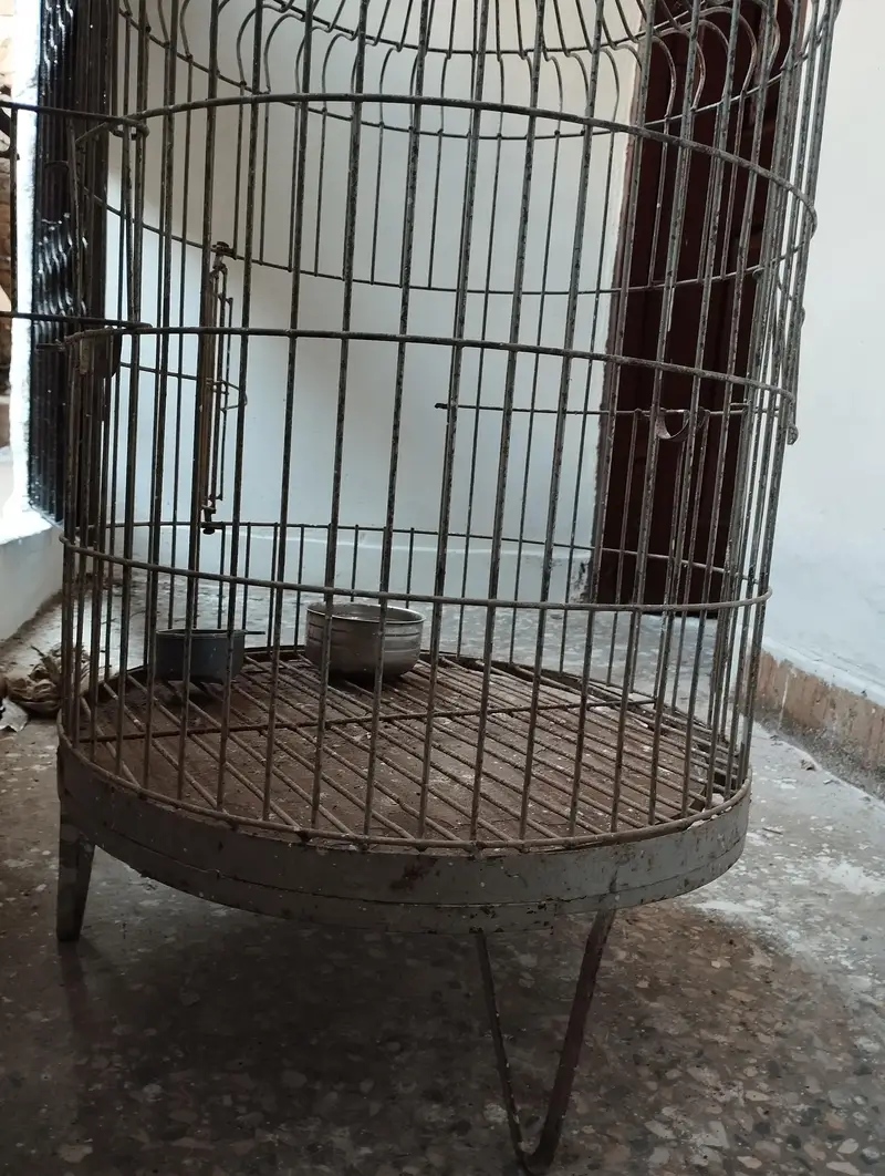 Heavy weight Cage/Pinjra Urgent sale — photo 6