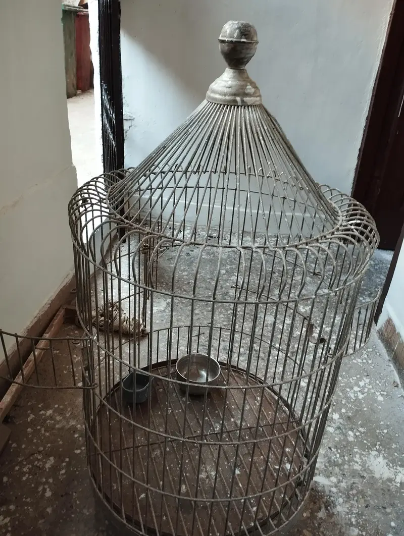 Heavy weight Cage/Pinjra Urgent sale — photo 7