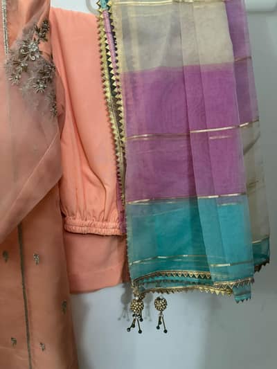 beautiful peach net embroidered dress with multi colored dupatta