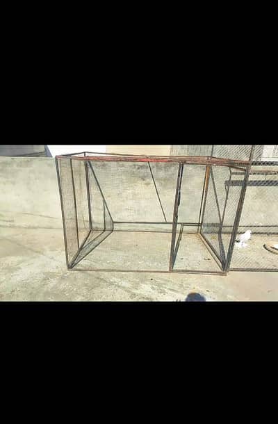 BIRD'S CAGE