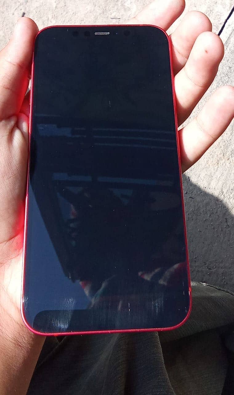 Apple iPhone 12 2