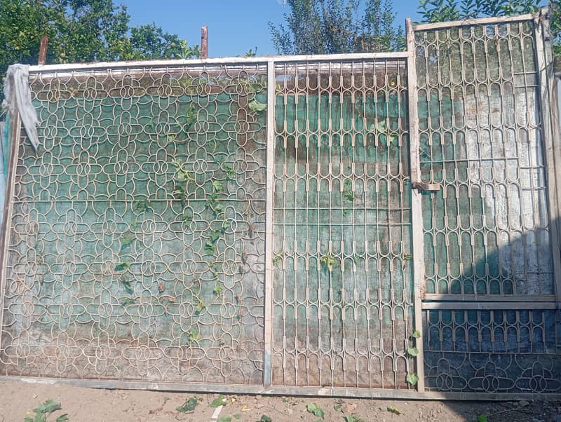 سیل گریل فار ہاؤس،صحن ۔ 0