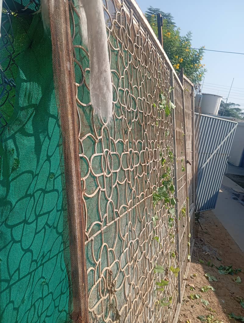 سیل گریل فار ہاؤس،صحن ۔ 2