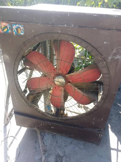 Used Industrial Lori Cooler 10x10 – Excellent Condition